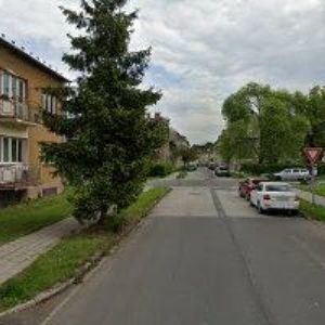 obrazek: avatar ZVONEČKOV