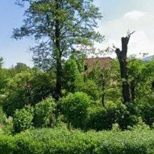 obrazek: avatar HUSKY KŘENEK