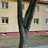 CENTRUM SOCIÁLNÍCH SLUŽEB UNIČOV