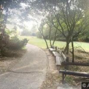 obrazek: avatar DOMÁCÍ PÉČE SOS-AMBROSIE