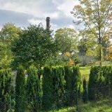 DĚTSKÝ DOMOV Janovice u Rýmařova