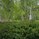 DOMOV PRO SENIORY KAMENEC