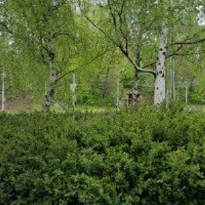 obrazek: avatar DOMOV PRO SENIORY KAMENEC