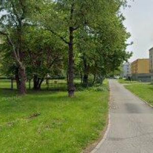 obrazek: avatar DOMOV ČUJKOVOVA