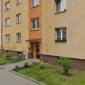 obrazek: avatar SLUNCE V DLANI, o.p.s.