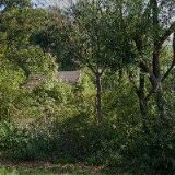 MAJA DOMÁCÍ A HOSPICOVÁ PÉČE s.r.o.