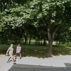 obrazek: avatar LÉKÁRNA HRADEC