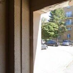 obrazek: avatar AFTERNOON-TEA