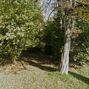 obrazek: avatar VSERVIS