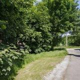 BATOHYATAŠKY.CZ