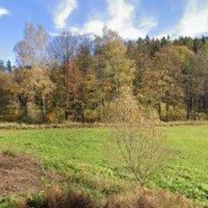 obrazek: avatar RPR-WTERM s.r.o.