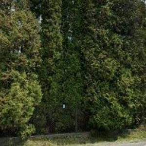 obrazek: avatar MATUŠEK RADOMÍR