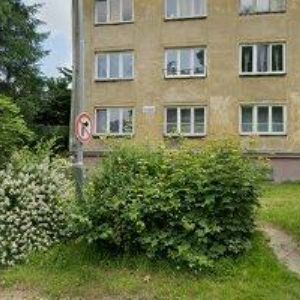 obrazek: avatar JASTRZEMBSKI JAN