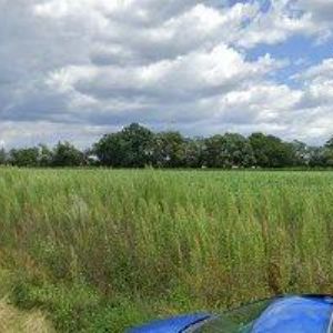 obrazek: avatar SCHREIER ZDENĚK