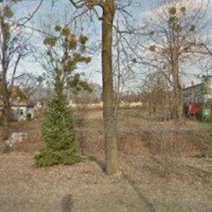 obrazek: avatar ZEDNICKÉ PRÁCE ADAMEC