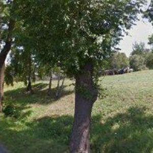 obrazek: avatar BYRTUS KAREL