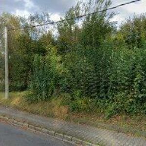 obrazek: avatar OKNA POLOCH