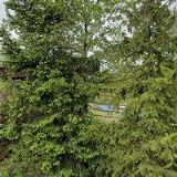 KOUPALIŠTĚ STARÁ BĚLÁ