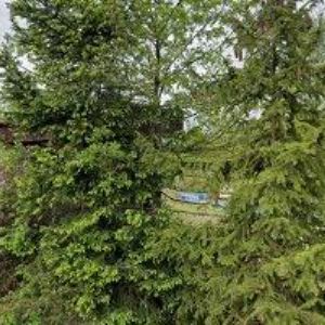 obrazek: avatar KOUPALIŠTĚ STARÁ BĚLÁ