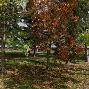 obrazek: avatar STAFIDO s.r.o.