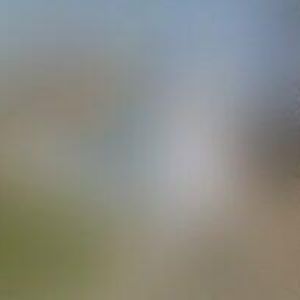 obrazek: avatar SKALKA-ZEMNÍ PRÁCE