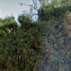 obrazek: avatar KANČI JAROSLAV