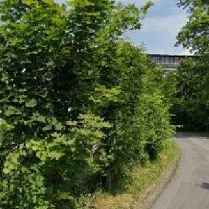 obrazek: avatar NOVMONTÁŽE CZ, spol. s r.o.