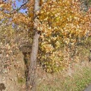 obrazek: avatar BENEŠ JAN-STAVEBNINY