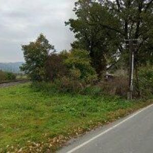 obrazek: avatar MIKLIŠ MARTIN