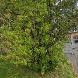 obrazek: avatar ALPSKÝ ŠINDEL s.r.o.