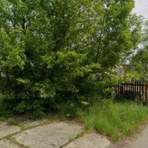 obrazek: avatar SAVO