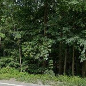 obrazek: avatar IZOLACE, OPLÁŠTĚNÍ APP s.r.o.