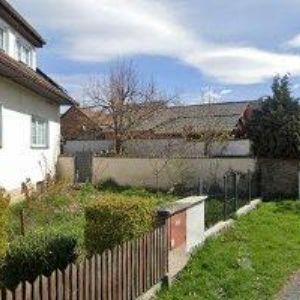 obrazek: avatar LEŠENÍ ŠTERNBERK