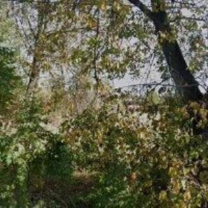 obrazek: avatar SILASFALT s.r.o.