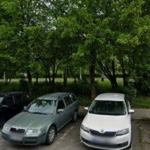 obrazek: avatar NYTRA KVĚTOSLAV