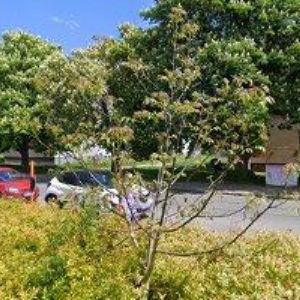 obrazek: avatar TECHNIFOG s.r.o.