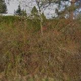 STRŽÍNEK OLDŘICH Ing.-GEODETICKÁ KANCELÁŘ