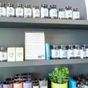 obrazek: avatar GESPO