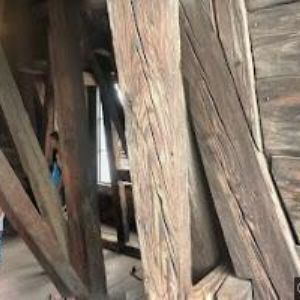 obrazek: avatar PETROVOVÁ BLANKA Ing. arch.