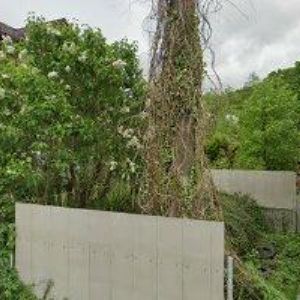 obrazek: avatar MENŠÍK PAVEL Ing.