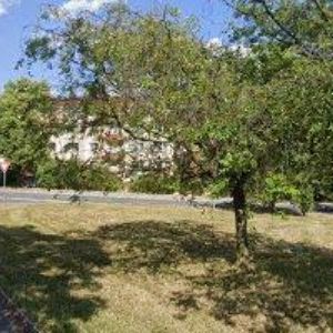 obrazek: avatar DRÁBEK JAN Ing.