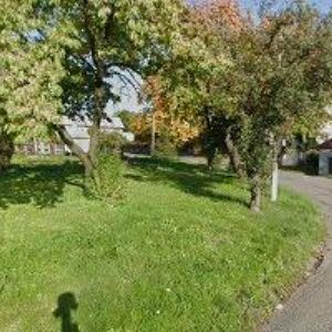 obrazek: avatar HUBOVÁ ALENA