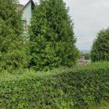 DÄNEMARKOVI PROJEKTOVÁNÍ STAVEB