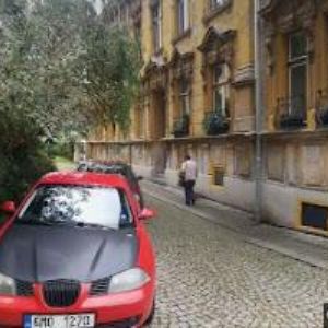 obrazek: avatar REICHLOVÁ IVANA