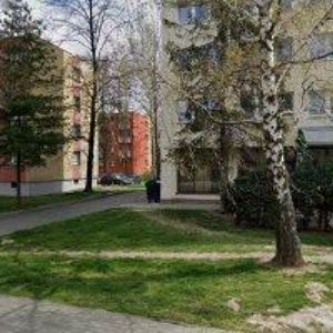 obrazek: avatar LONČÍKOVÁ PAVLA