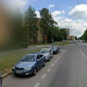 obrazek: avatar WALACHOVÁ RADANA