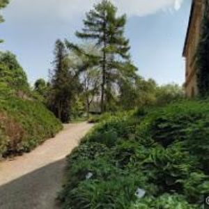 obrazek: avatar OBEC Bílá Lhota