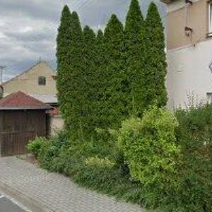 obrazek: avatar OBEC Svésedlice