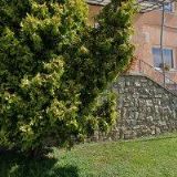 OBEC Čelechovice na Hané