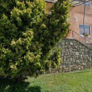 obrazek: avatar OBEC Čelechovice na Hané